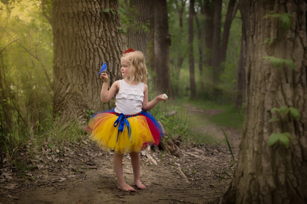 Fine Art Portraits Sioux City